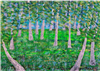 Birch Grove