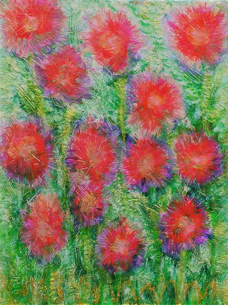 Field Poppies